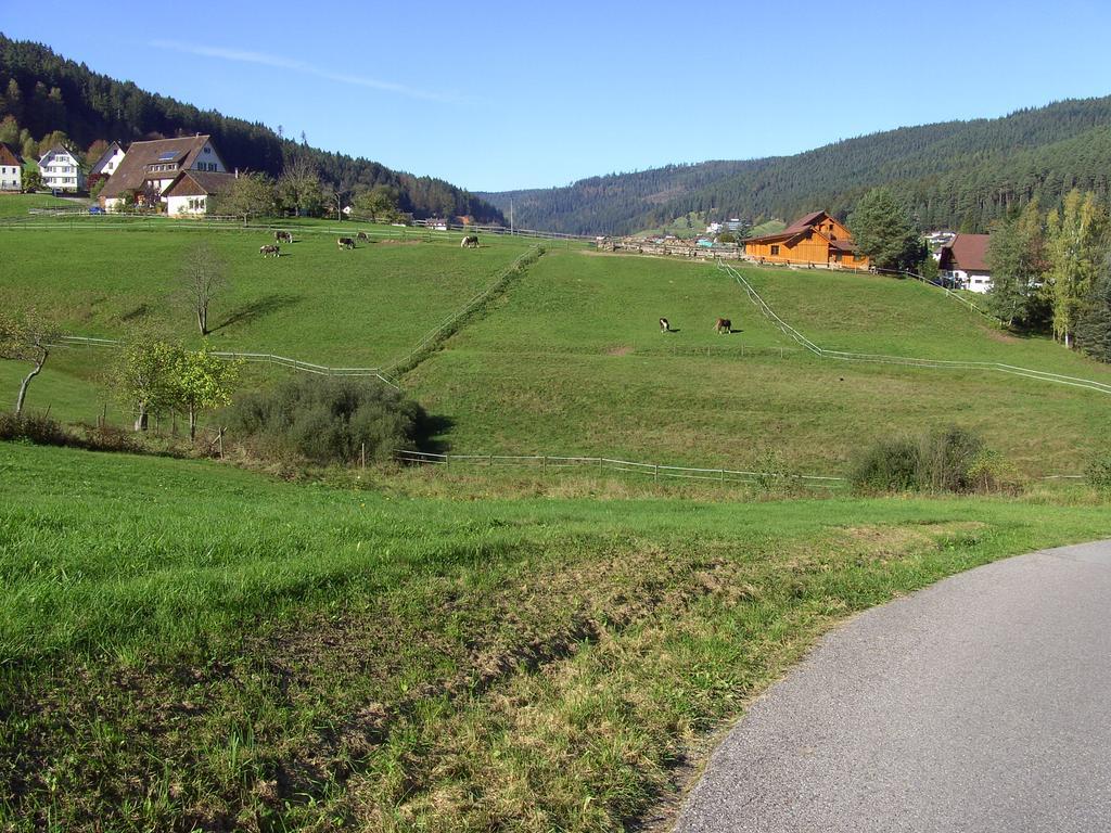 Hotel Haus Klumpp Baiersbronn Exteriér fotografie